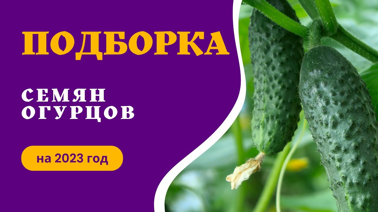 Эффективное хранение для будущего посева