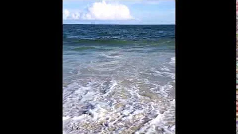 Beach Video