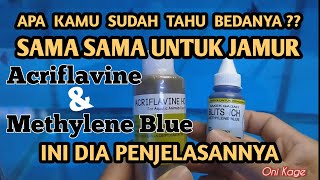 Perbedaan Fungsi Acriflavine dan Methylene Blue [  penjelasan tentang air sumur bor]