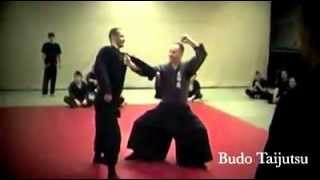 Bushinden Kai, Vienna 2012 with Shihan Duncan Stewart