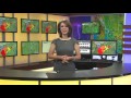 Did You Know With Jill: Fall Foliage In WV