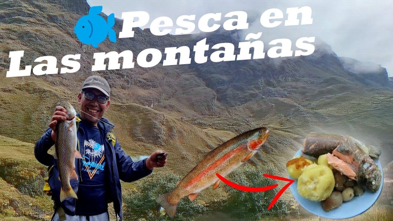 🛑🎣DIA DE AVENTURA: PESCAMOS TRUCHAS NATURALES EN LAGUNAS MUY SERCA DEL NEVADO ALLINCCAPAC.🏔🏔