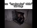 The dog: