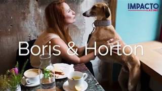 Boris & Horton, un café para compartir con tu mascota!