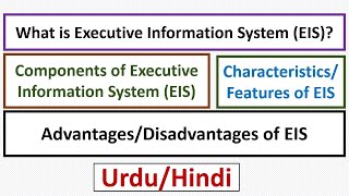 What is Executive Information System(EIS) OR Executive Support System (ESS)? Components/Features