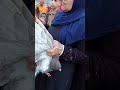 أسعار الحمام في سوق الجمعة 