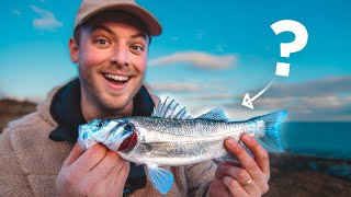 This Wasn't Meant to be a Fishing Video..