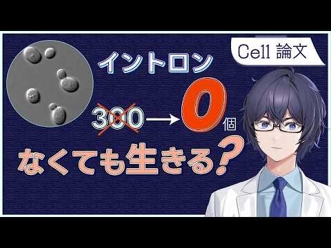 イントロン300個を全削除した出芽酵母｜真核生物にスプライシングは必須か？【Cell論文解説】 #たかとー研究室