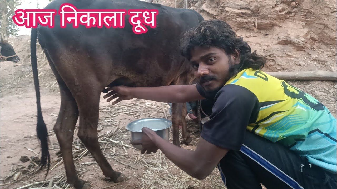 बहुत सालो बाद खाने मिला दूध  👌😊