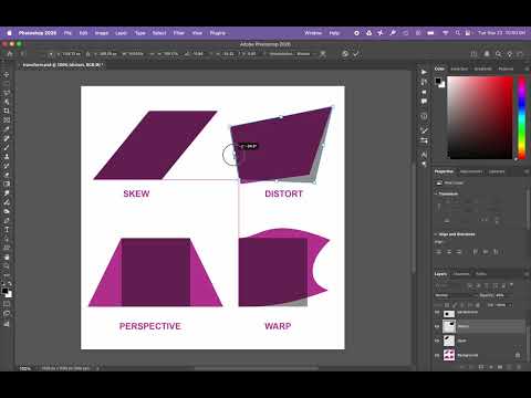 Capa de 4 transforms