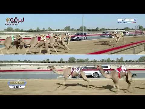 ش15 الوسمي ل أحمد الحزمي قناص العامري تأهيل المرموم الخامس 09 11 2025 جذاع قعدان إنتاج 9 19 4