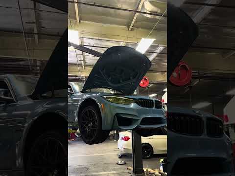F80 M3 DCT Diff And Oil Change Service Automobile Bmwf80 Bmw Cartok M3 