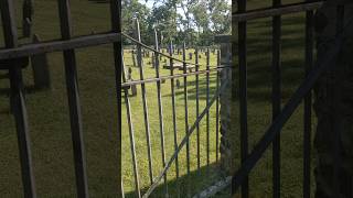 Finding History - Old Hanover Presbyterian Churchyard #history #cemetery #americanrevolution #grave