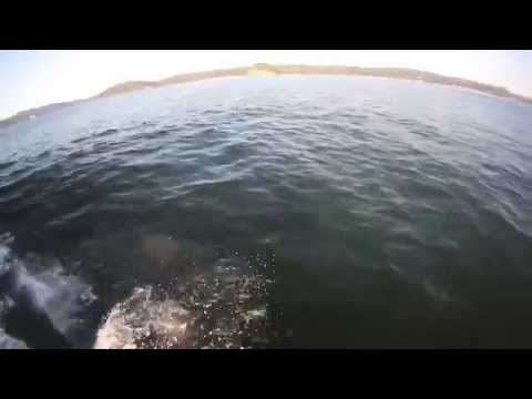 Surfing The Glide