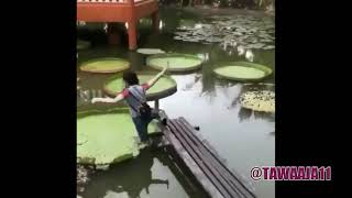 Cewek Cantik Jatuh Lucu #1Menit #Kaset Rusak