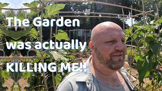ALLERGIC to my own garden?! | Making garden improvements | Allotment Gardening UK