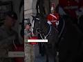 🐎 Why Everyone Respects the Queen's Guard's Horse