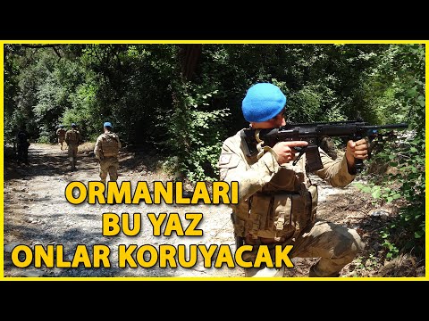 Aydın Ormanları, Polis Özel Harekat ve Jandarma Komandolara Emanet