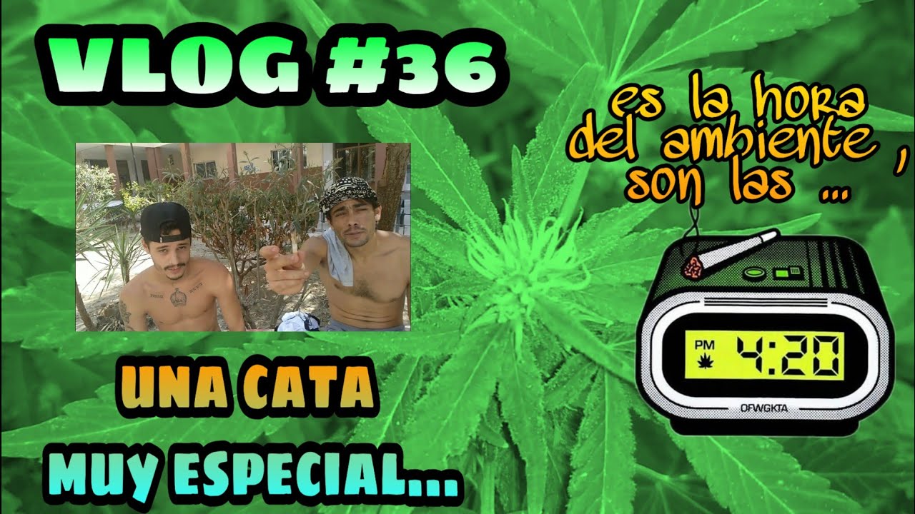 Vlog #36 - CATA , REPASO , TU MOMENTO 