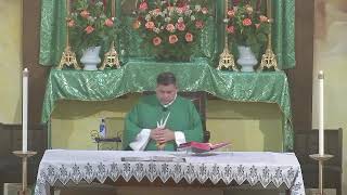 Misa de Domingo Enero 25, 2026 | III Domingo Ordinario