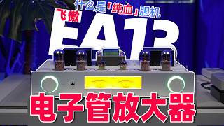 胆机扫盲贴！什么是纯血胆机？飞傲EA13电子管放大功放开箱