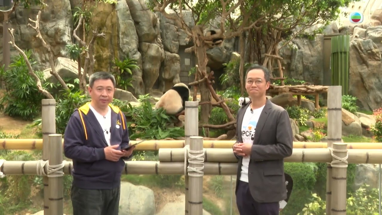 TVB Straight Talk｜清心直說｜為何海洋公園被視為香港的重要資產？｜繁／簡／英字幕｜無綫新聞 TVB News