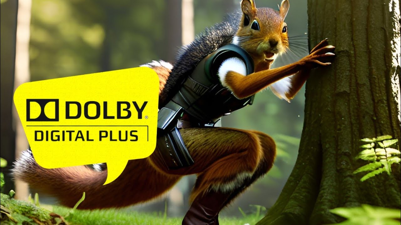 dolby atmos test ¦ 12k HDR 60fps Dolby Vision demo 4k YouTube