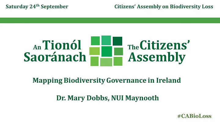 CA Dr Mary Dobbs, NUI Maynooth 240922