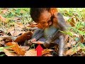 Awesome!!! What's So Cute and Very Tiny, Lovely Baby Monkey, I lovely These Baby Monkeys,and Animals