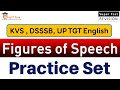 Figures of Speech Practice Set || Super Fast Revision || MCQ Revision of Figures of Speech