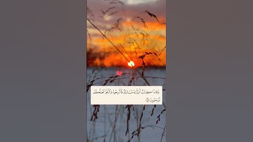 وهذا كتاب أنزلناه مبارك فاتبعوه واتقوا لعلكم ترحمون  - #القارئ #محمدطاهر - سورة الأنعام 🌱