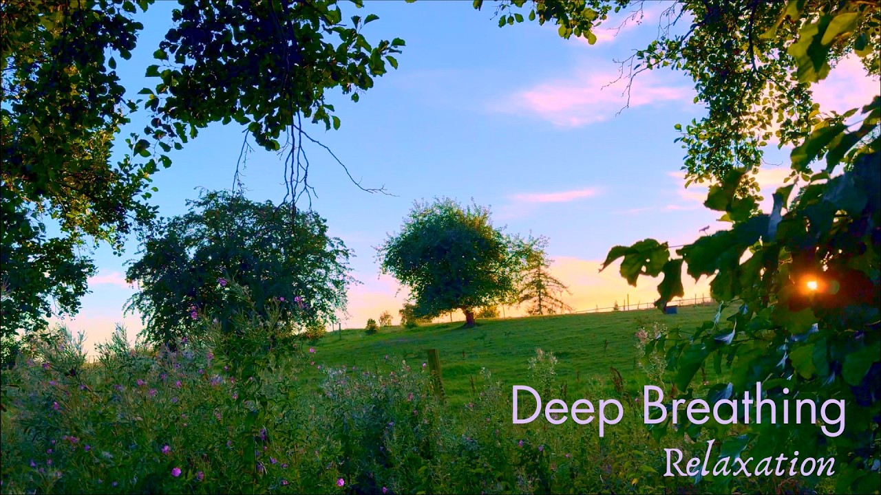 Relaxing Deep Breathing Music & 4K Nature 🌿- Reset Your Nervous System in 8 Minutes (Transcend)