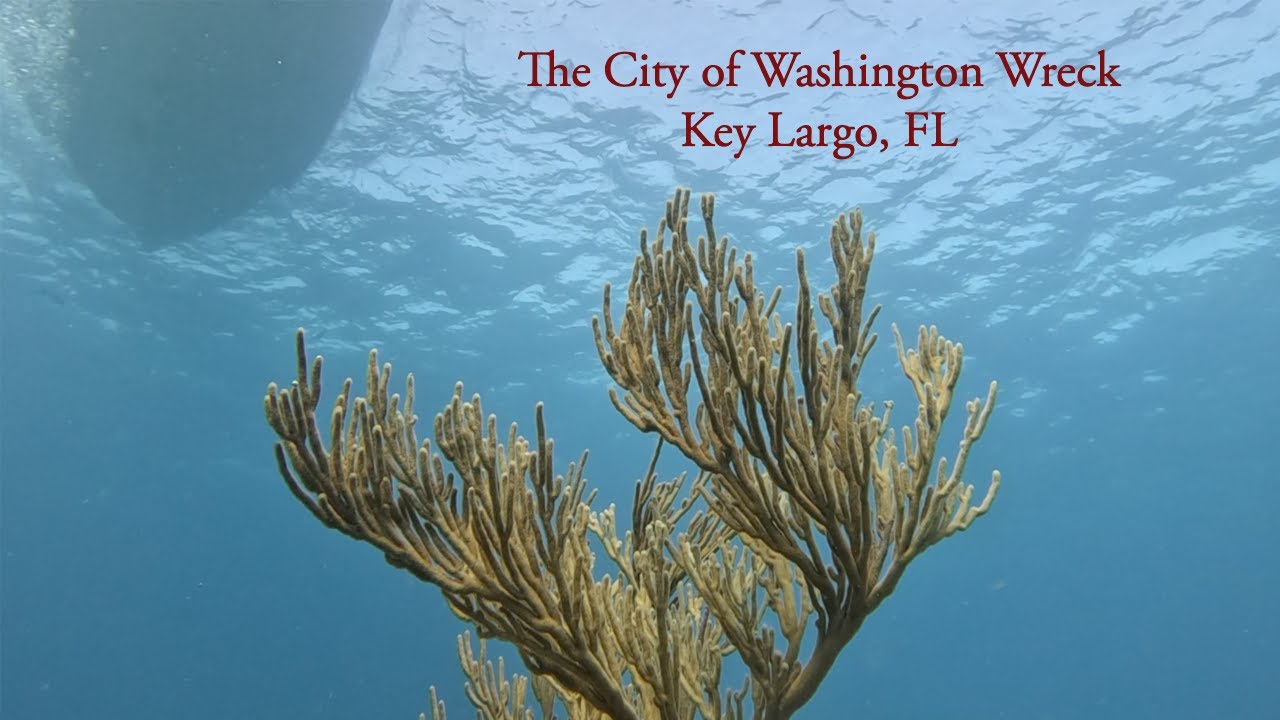Scuba Diving the City of Washington Wreck in Key Largo, FL