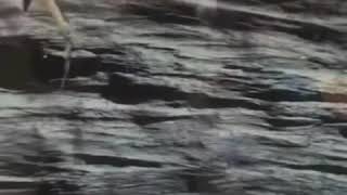 As brand swim bait lead head lure Fishing