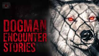 Dogman & The Burial Ground - Scary Dogman Encounter Story