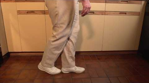 Home Activity Program Level 3.6 Moving (Heel to Toe Walk) - Punjabi