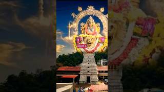 ಅಮ್ಮ ನನ್ನೀ ಜನುಮ ನಿನ್ನ ವರಧಾನವಮ್ಮ amma nanni januma ninna varadhanavamma #trending shorts #viral
