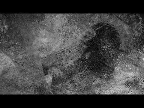 Spirit, Digital, Q Project - To Meeeeee