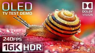 INSANE 16K HDR 240FPS 🔥 Ultimate OLED Test Demo | Dolby Vision Experience