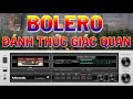 Hoà Tấu Rumba Guita Buổi Sáng | Nhạc Bolero Đánh Thức Giác Quan