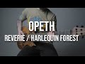 Opeth - Reverie / Harlequin Forest (full instrumental cover)