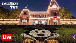  Disneyland U0026 Disneys California Adventure  Stream  33119