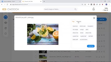 Chooch AI Vision Studio Dashboard: An Introduction to How Chooch Works