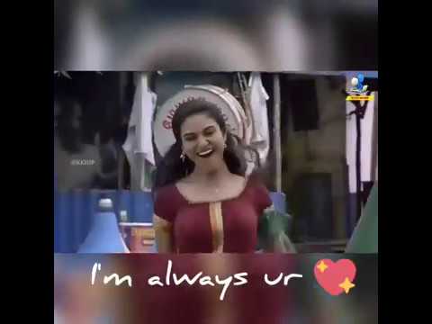 meyaadha-maan-|-thangachi-whatsapp-video-song-|-vaibhav,-priya,-indhuja-|-santhosh-narayanan