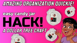 ORGANIZE IN MINUTES WITH THIS IDEA!  Dollar Tree Hack