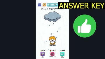 Brain Games Brain Star LEVEL 37 Puppy from rain protect (ANSWER KEY) Gameplay Walkthrough SlowMotion