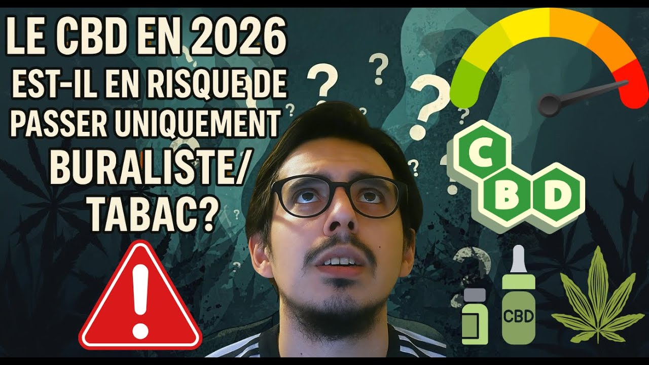 Ce que j'ai découvert sur le CBD et les taxes en 2026 - Buralistes ...