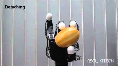 Robot Hand: Blind Grasping and Object Manipulation