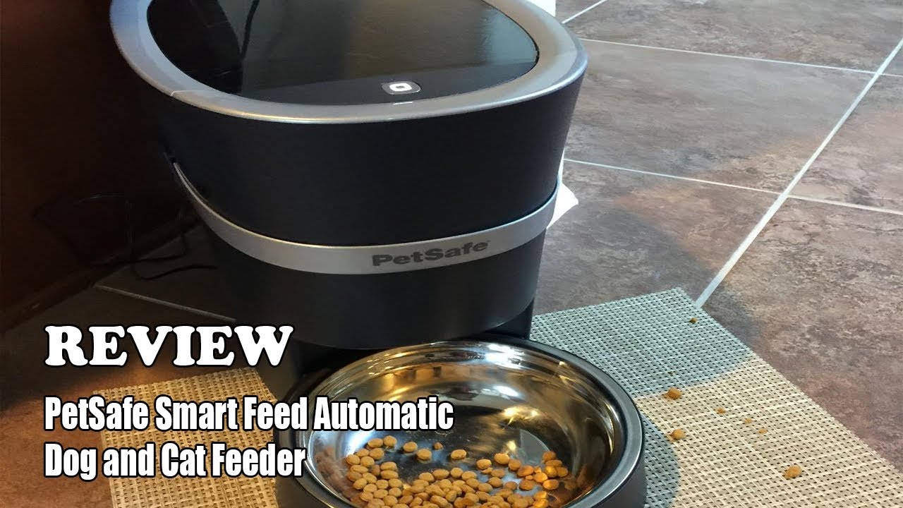 Review PetSafe Smart Feed Automatic Dog and Cat Feeder 2024 - YouTube