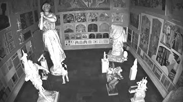 AXIS P3364-LV Network Camera - MidwestSurveillance.com